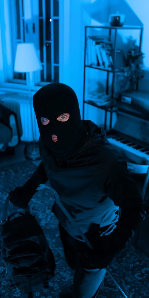 Burglar with full backpack examining living room